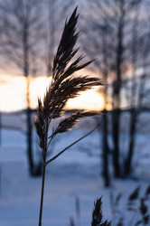 Similar image 21388695