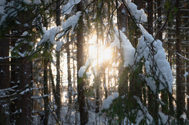 Similar image 21388696