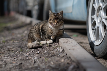 Similar image 21399281