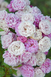 Similar image 21421846