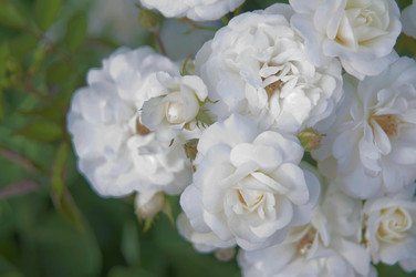 Similar image 21421847