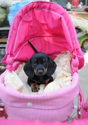 Similar image 21421848