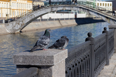 Similar image 21388723