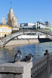 Similar image 21388724