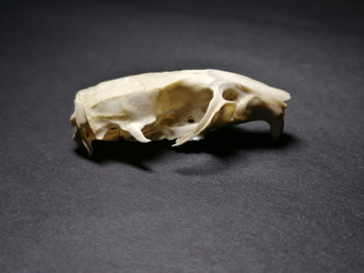 Similar image 21388733