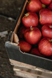 Similar image 21402736