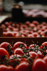 Similar image 21402737