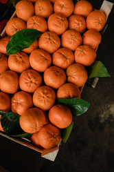 Similar image 21402738