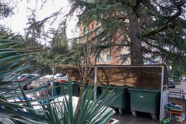 Similar image 21421297