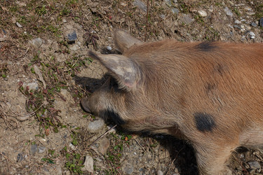 Similar image 21420161