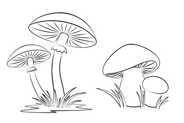 Similar image 21412604