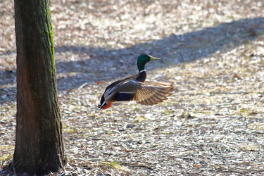 Similar image 21399603