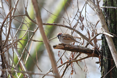 Similar image 21399604