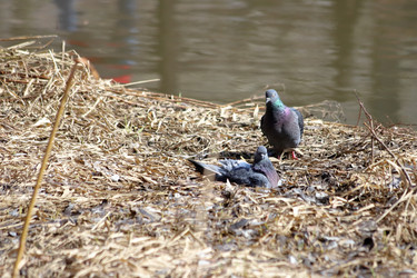 Similar image 21399605