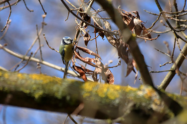 Similar image 21399606