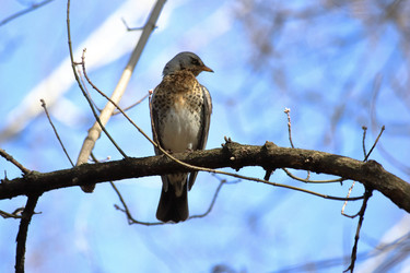 Similar image 21399607