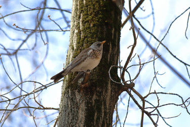 Similar image 21399610