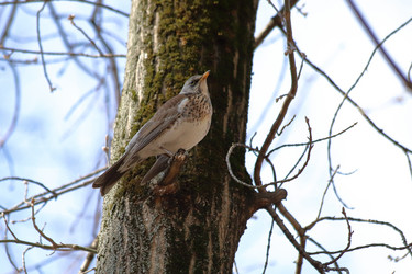 Similar image 21399611