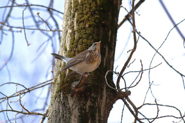 Similar image 21399612