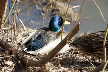 Similar image 21399615