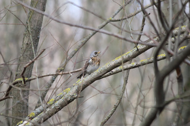 Similar image 21399617