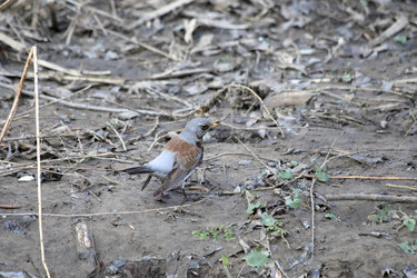 Similar image 21399619