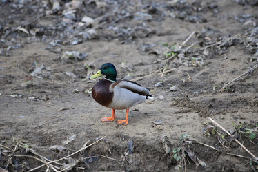 Similar image 21399620