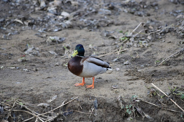 Similar image 21399621