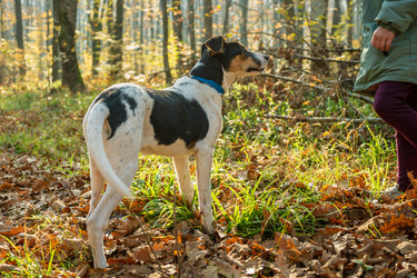 Similar image 21422472