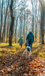 Similar image 21422477