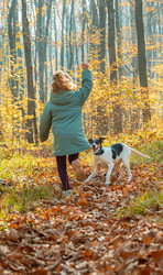 Similar image 21422197