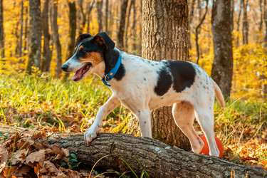 Similar image 21422198