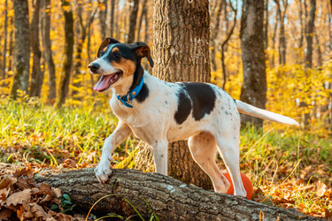 Similar image 21405045