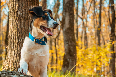 Similar image 21405046