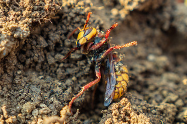 Similar image 21422309