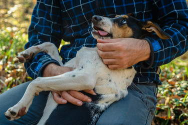 Similar image 21422322