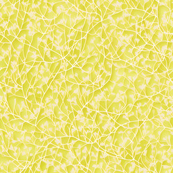 Similar image 21427990