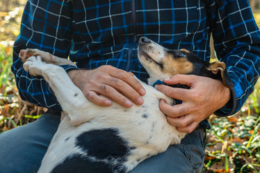 Similar image 21422325