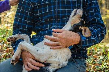 Similar image 21422326