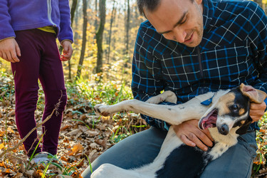 Similar image 21405057