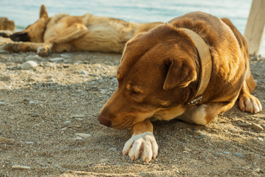 Similar image 21405078