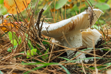 Similar image 21405083