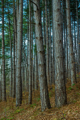 Similar image 21405085