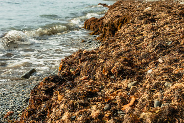 Similar image 21405086