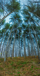 Similar image 21422522