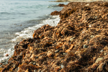 Similar image 21422523