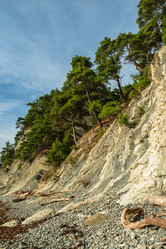 Similar image 21422526