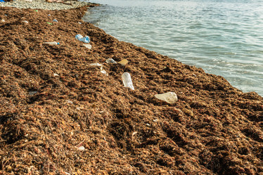 Similar image 21422532