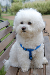 Similar image 21399314