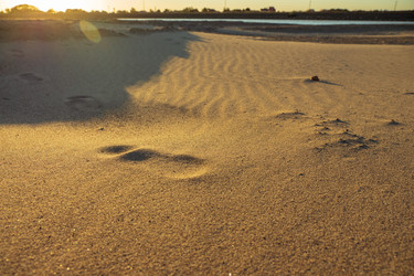 Similar image 21422327